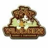 Disney Pin- Fort Wilderness Resort & Campground Mickey