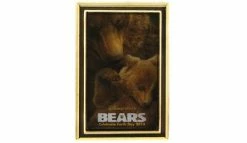 Disney Earth Day Pin - 2014 Earth Day Bears