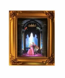 Disney Gallery Of Light - Sleeping Beauty 60th Anniversary